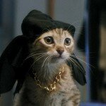 Mais qui est Keanu, le mystérieux chat au chapeau ?